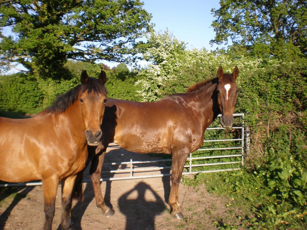 Austons Down Farm B&B Claverdon ภายนอก รูปภาพ