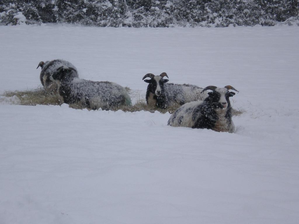 Austons Down Farm B&B Claverdon ภายนอก รูปภาพ