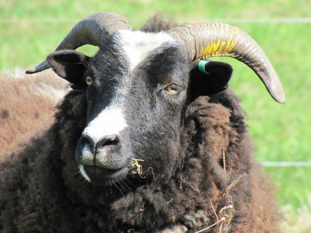 Austons Down Farm B&B Claverdon ภายนอก รูปภาพ