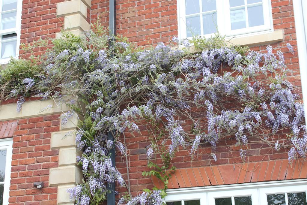 Austons Down Farm B&B Claverdon ภายนอก รูปภาพ